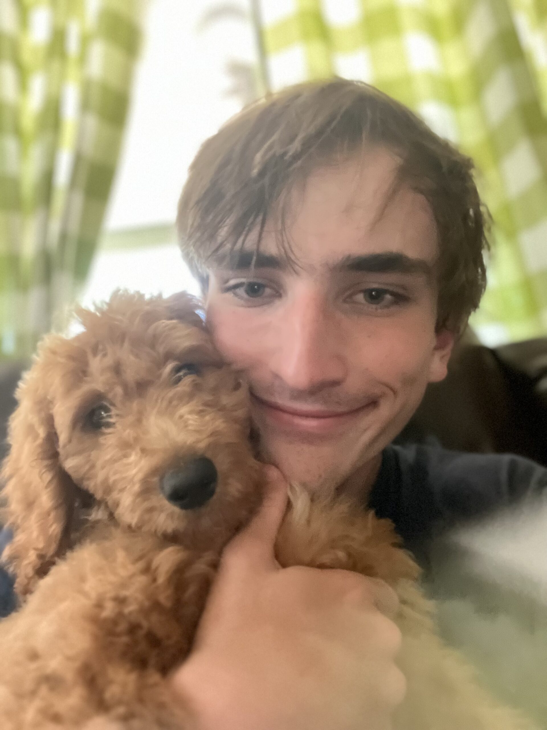 All of our Goldendoodles are socialized and raised with love!