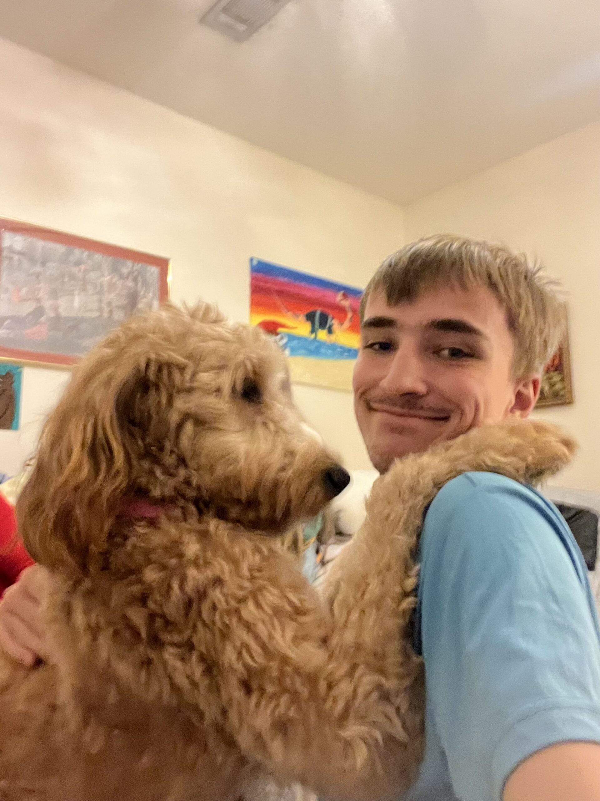 Abbey is our sweet Mama Goldendoodles!